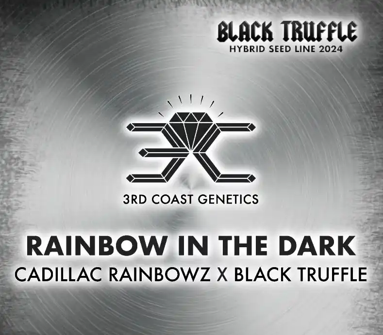 3rd Coast Genetics - Rainbow in the Dark   x10 Regular