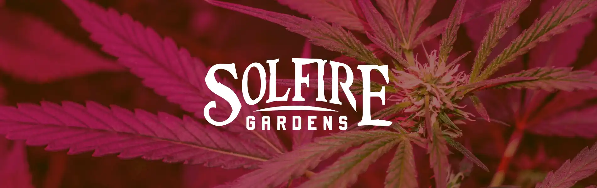 Solfire Gardens