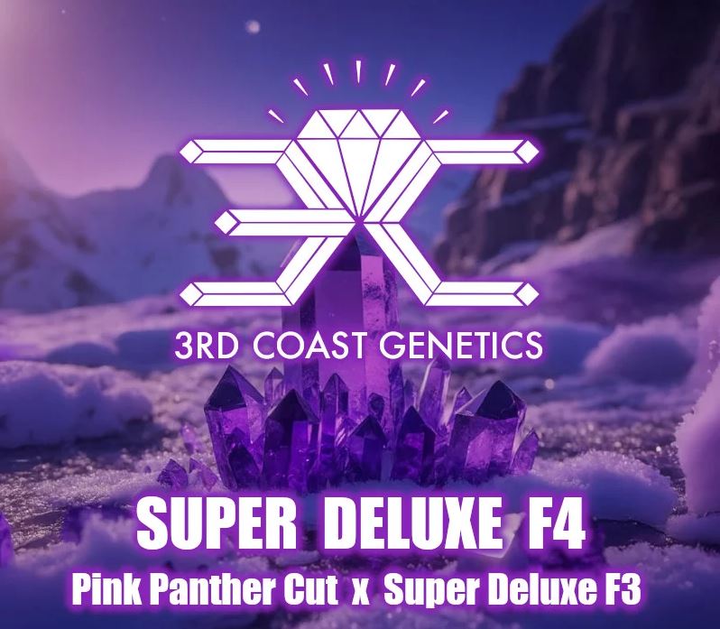 3rd Coast Genetics – Super Deluxe F4  x10 Regular