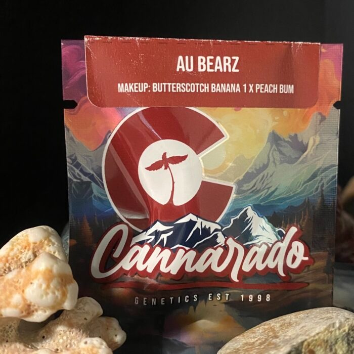 Cannarado – Au Bearz x6 Fem
