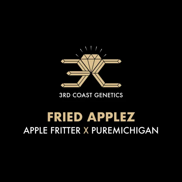 3rd Coast Genetics - Fried Applez x10 Reg