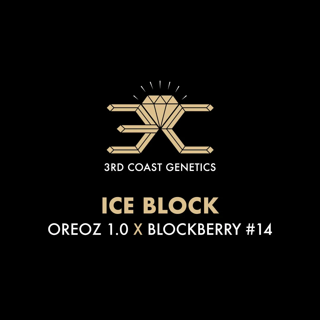 3rd Coast Genetics - Ice Block x10 Reg