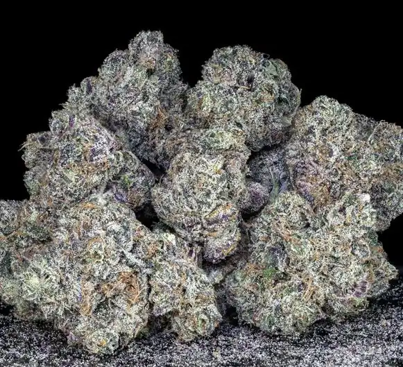 Offensive Selections - Black Market x10 Fem + Freebie