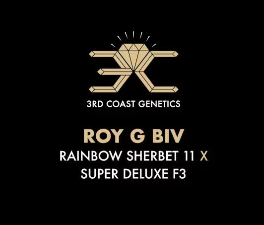 3rd Coast Genetics – Roy G Biv x10 Reg
