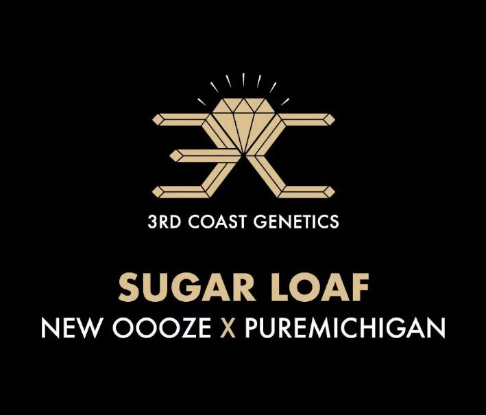 3rd Coast Genetics – Sugar Loaf x10 Reg