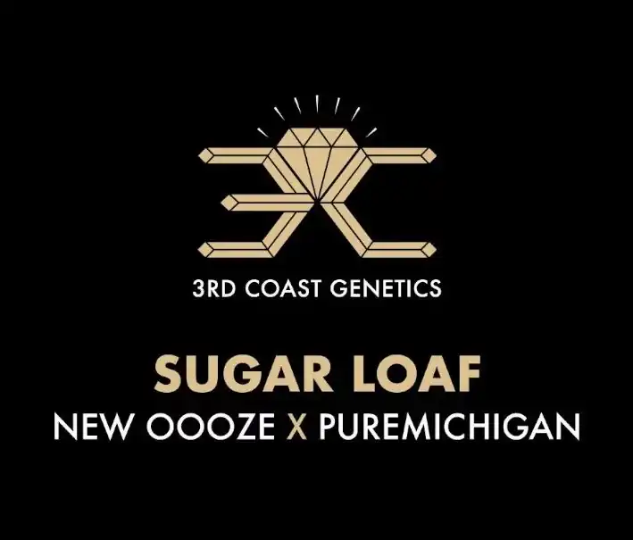 3rd Coast Genetics - Sugar Loaf x10 Reg
