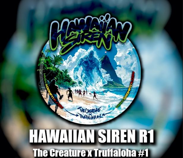 Beleaf Seeds – Hawaiian Siren x10 Fem