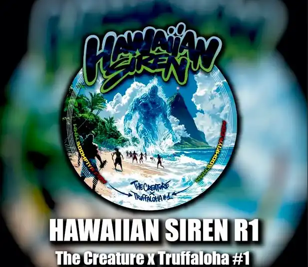 Beleaf Seeds - Hawaiian Siren x10 Fem