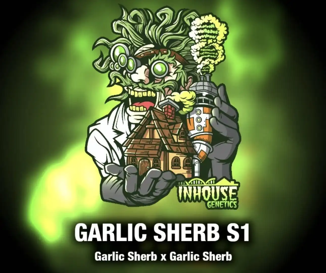 In House Genetics - Garlic Sherb S1 x10 Fem