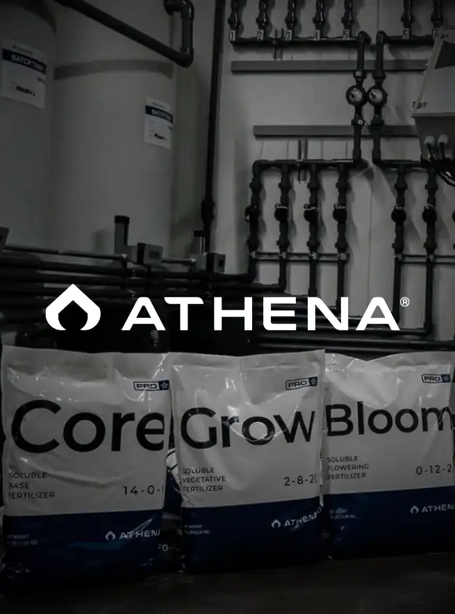 ATHENA FERTILIZANTES
